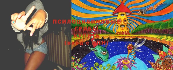 МДПВ Белокуриха